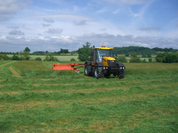 Mowing hay crop