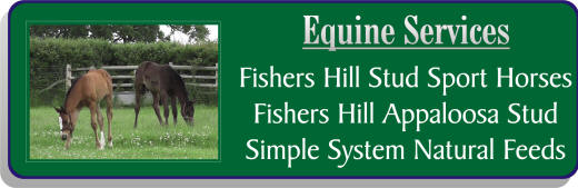 Equine Services from Mill Farm Ashorne