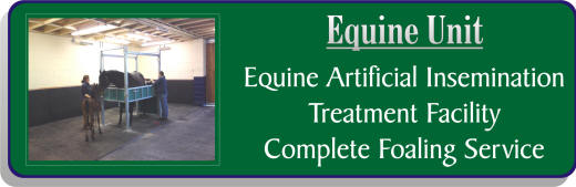 Equine Unit at Mill Farm Ashorne