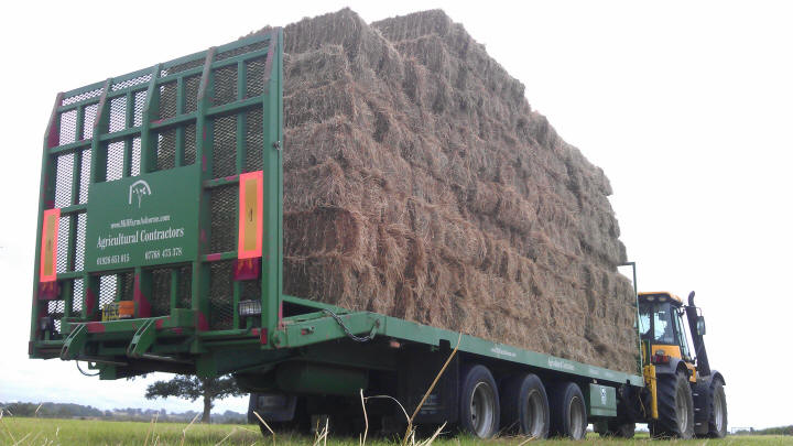 Meadow hay being carted from the field